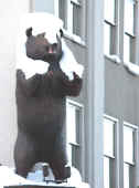 bear at Grizzly Gifts