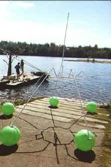 BOUYANT Waterbug at Westchester Lagoon in downtown Anchorage Alaska 