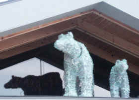 Ivy Architects holiday lights polar bears