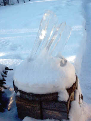 Donald R Ricker Freeze Trophy